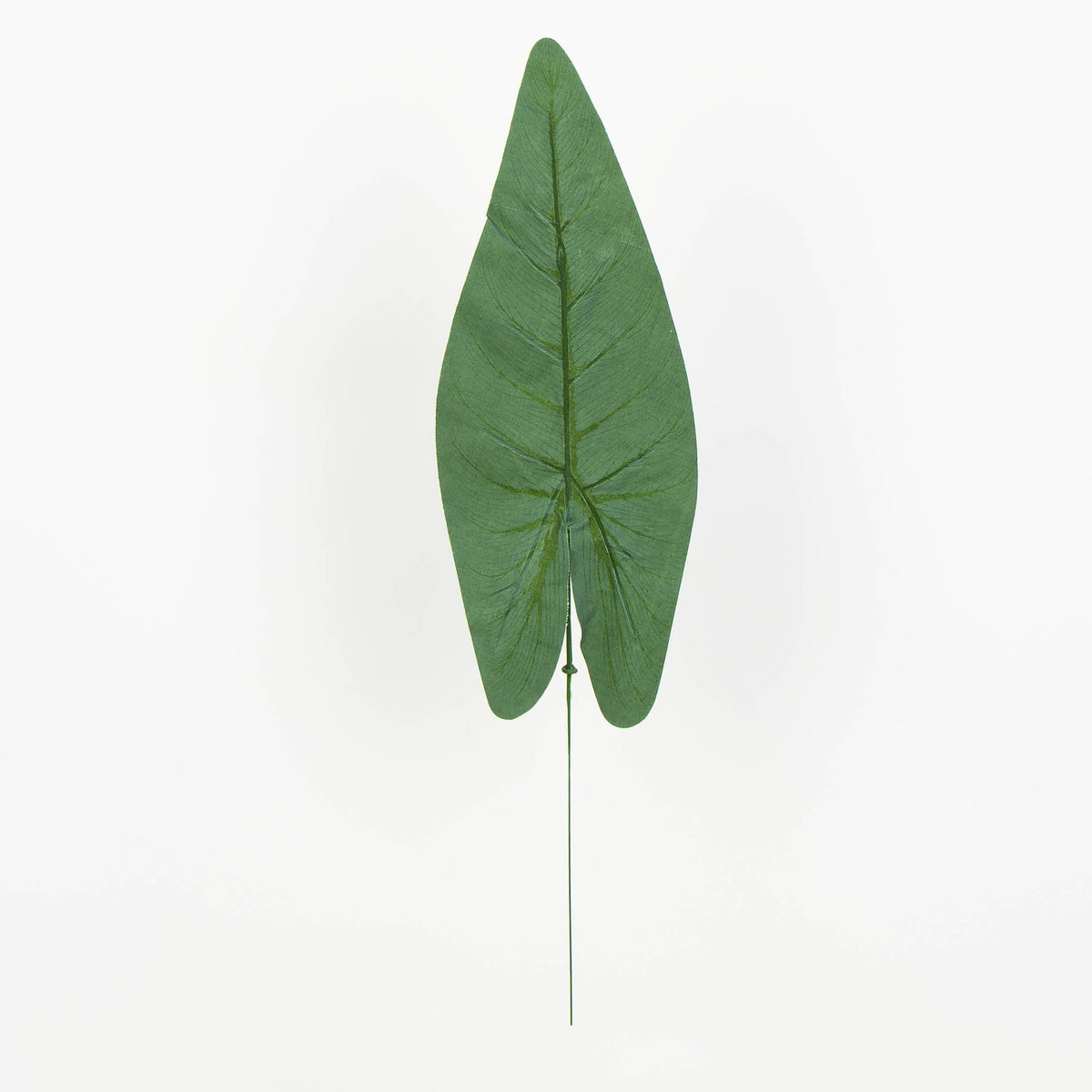 Tekolehti, 48 cm, 12 kpl