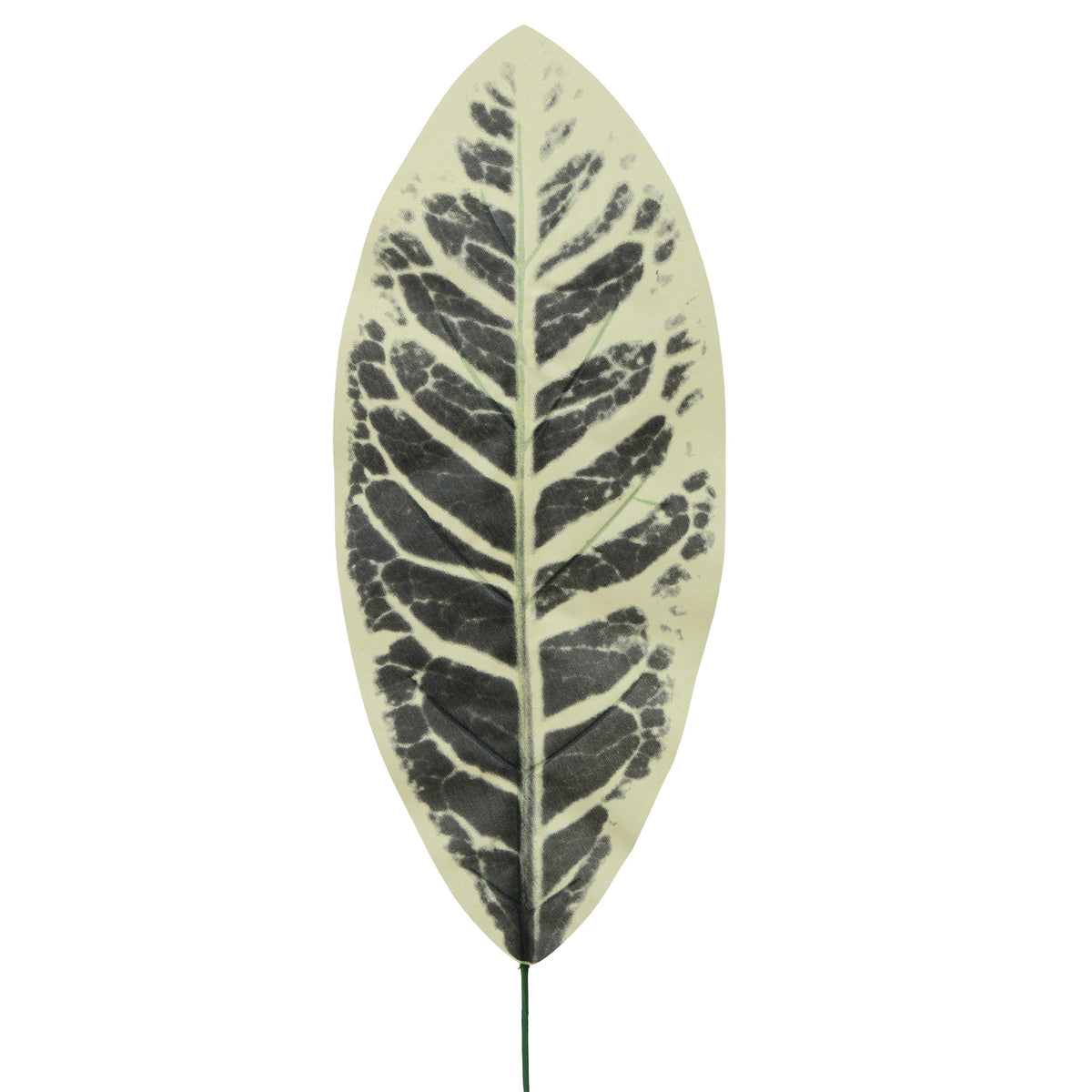 Tekolehti, 49 cm