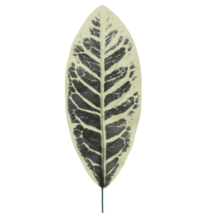 Tekolehti, 49 cm