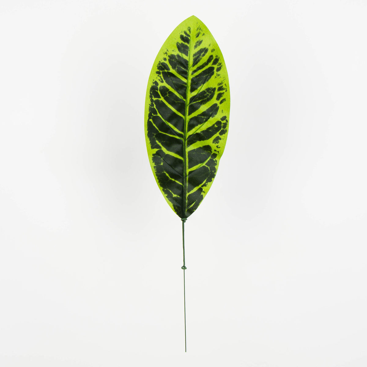 Tekolehti, 50 cm, 12 kpl