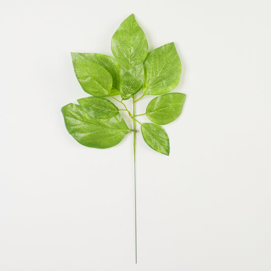 Tekolehti, 51 cm, 12 kpl