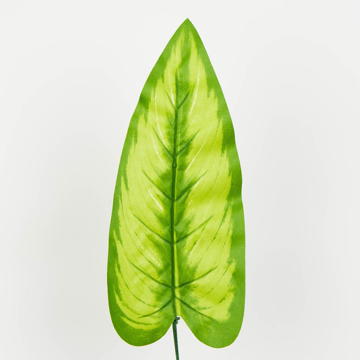 Tekolehti, 51 cm, 12 kpl