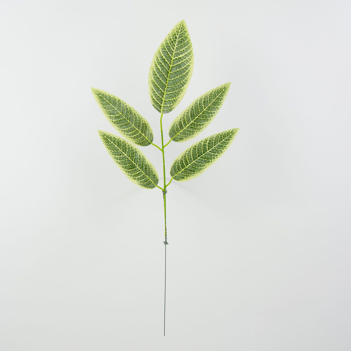 Tekolehti, 55 cm, 12 kpl