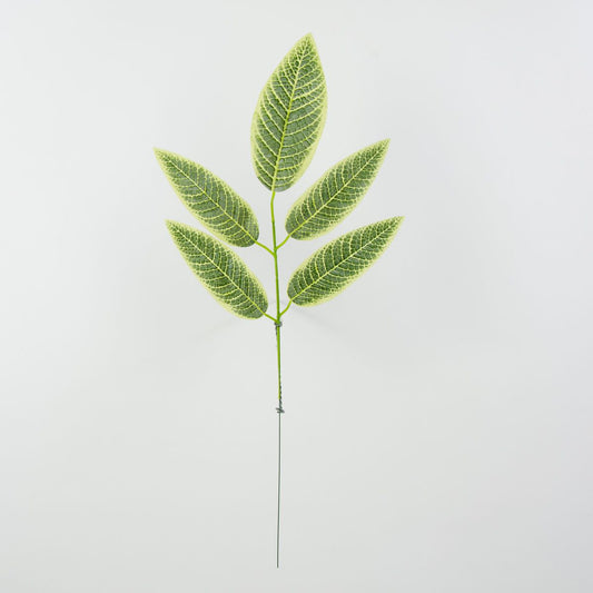 Tekolehti, 55 cm, 12 kpl