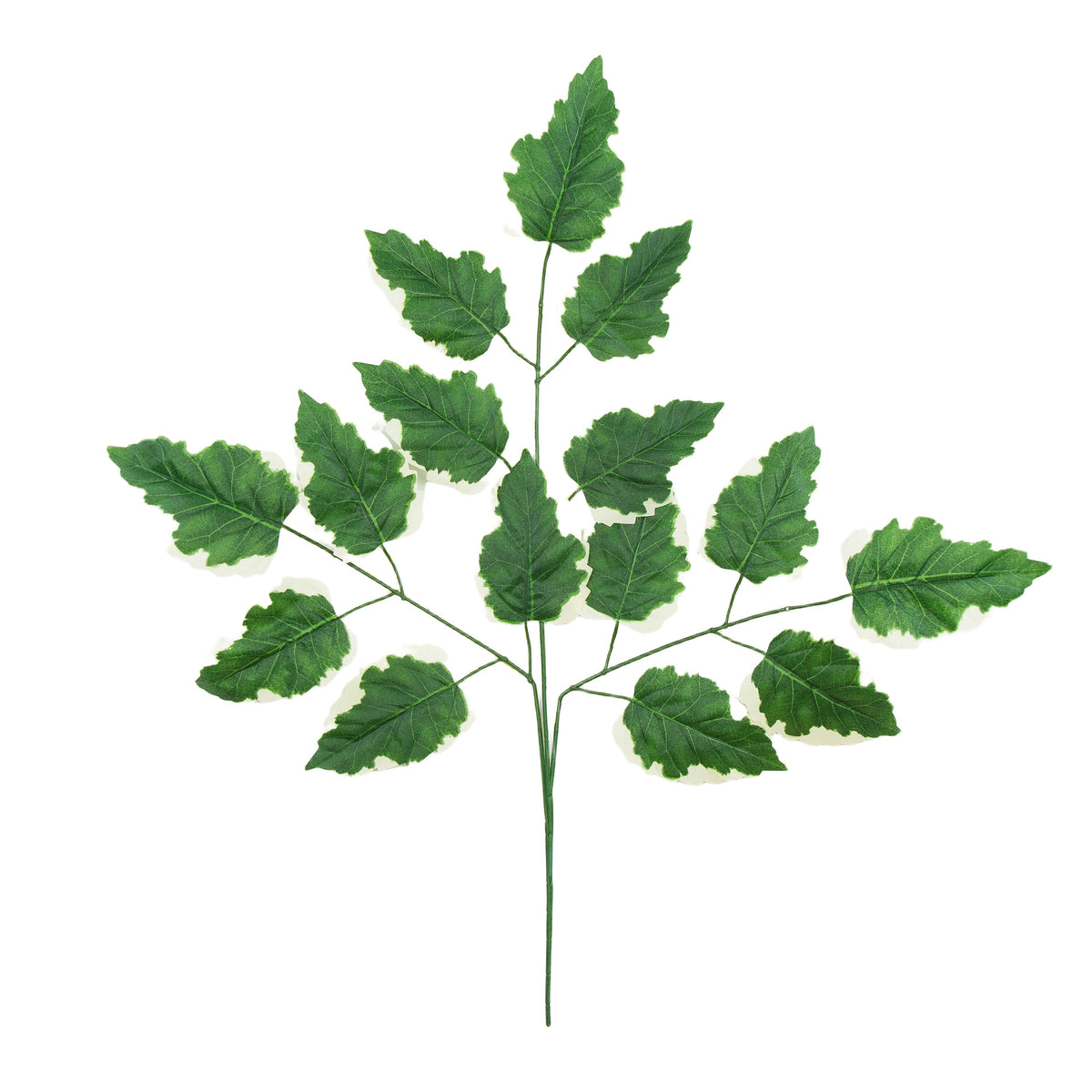 Tekolehti, 74 cm, 12 kpl