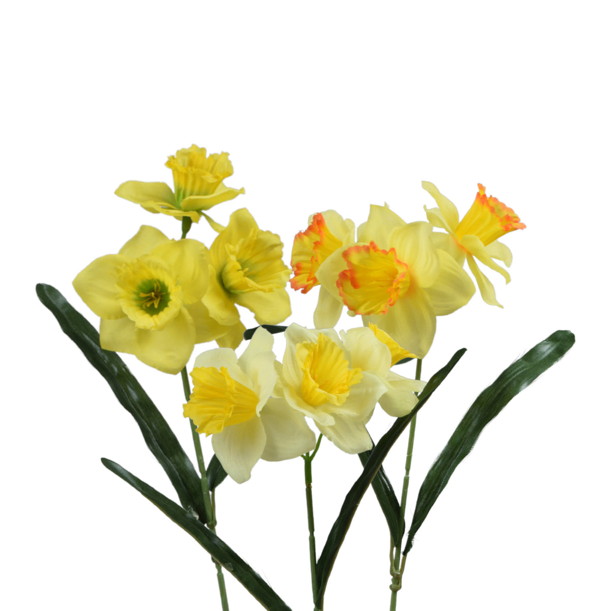 Tekonarsissin kukkavarsi, 39 cm