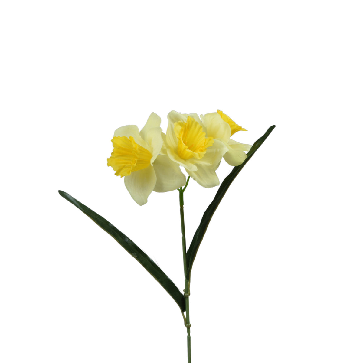 Tekonarsissin kukkavarsi, 39 cm