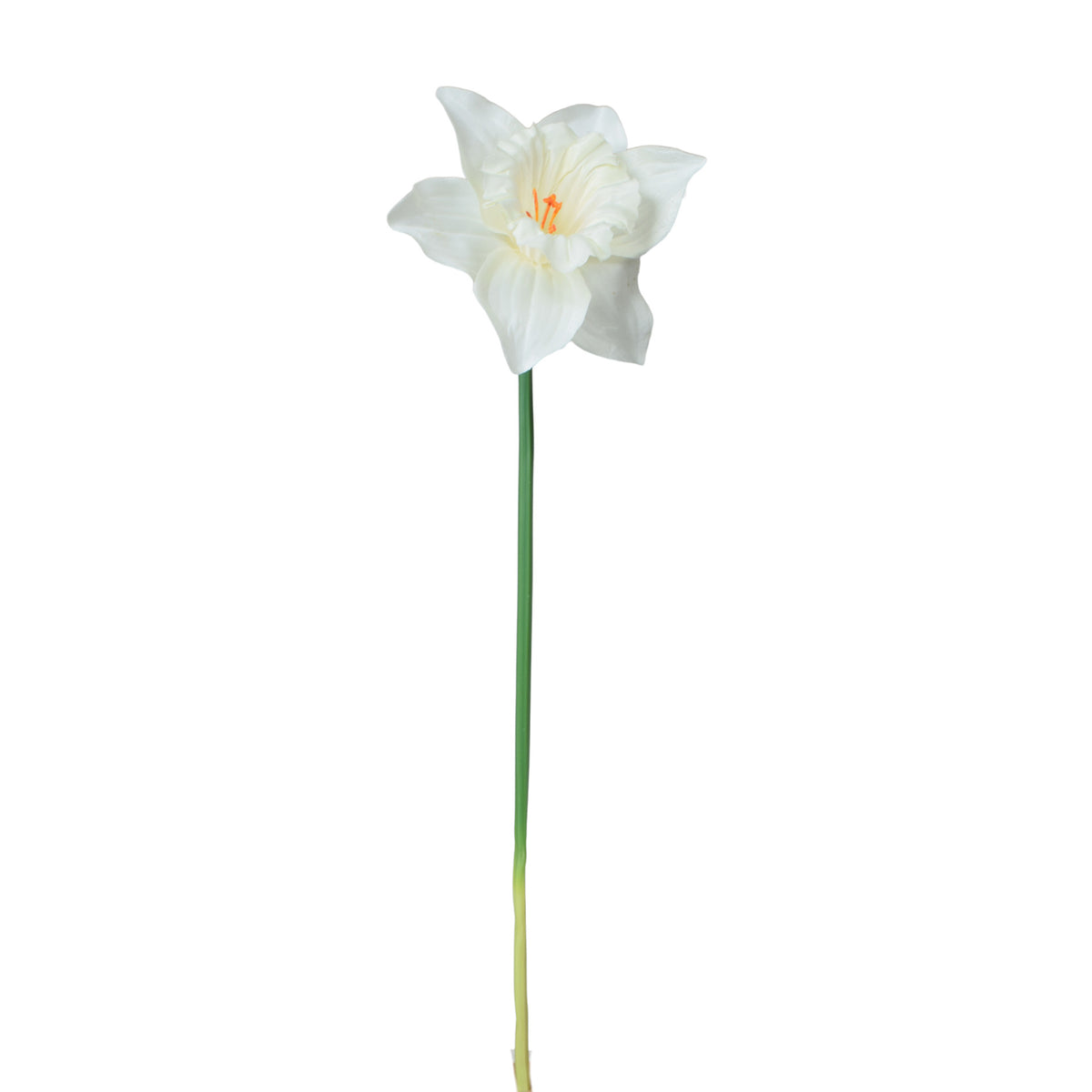 Tekonarsissin kukkavarsi, 39 cm