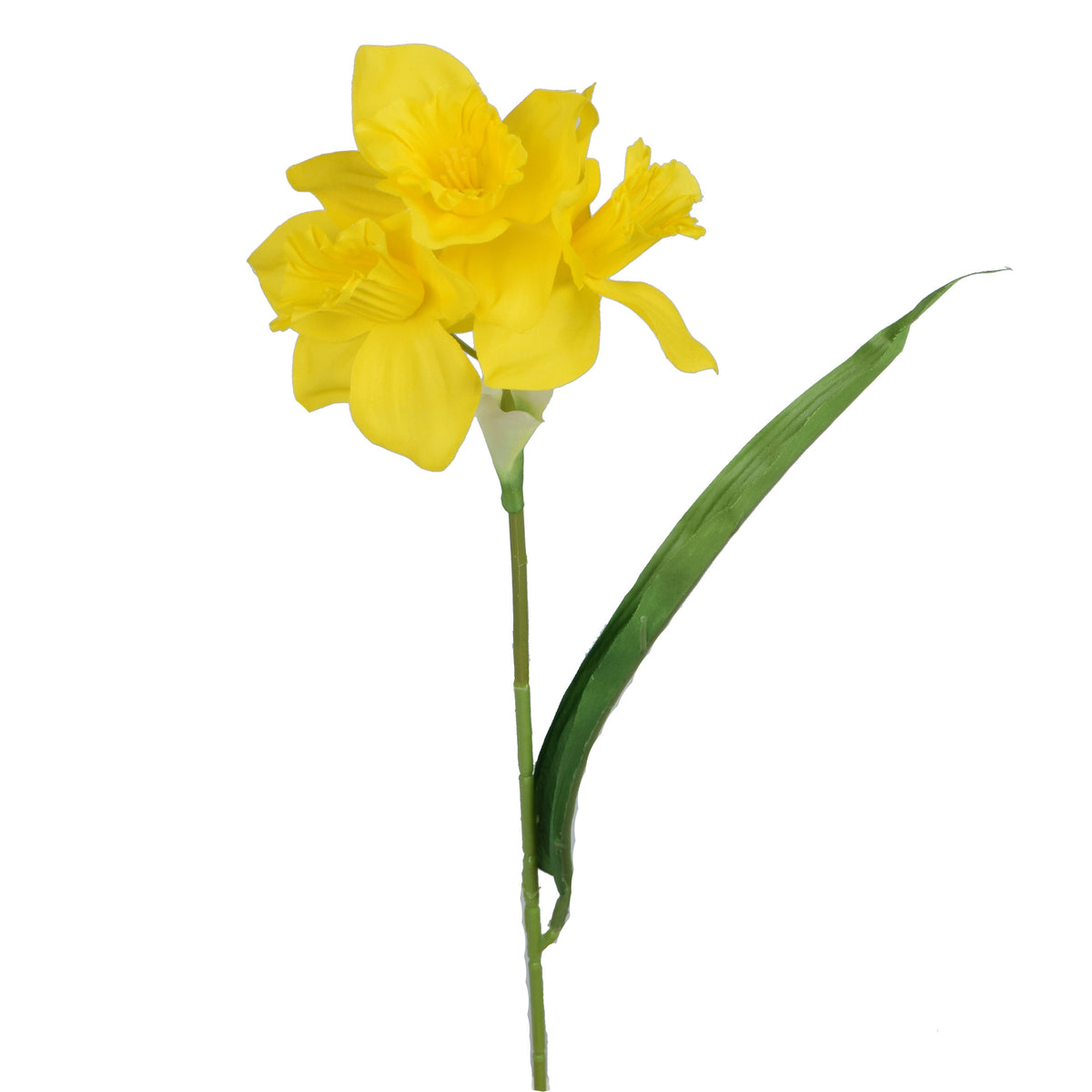 Tekonarsissin kukkavarsi, 41 cm