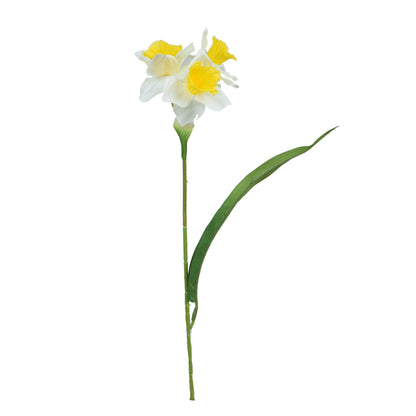Tekonarsissin kukkavarsi, 41 cm