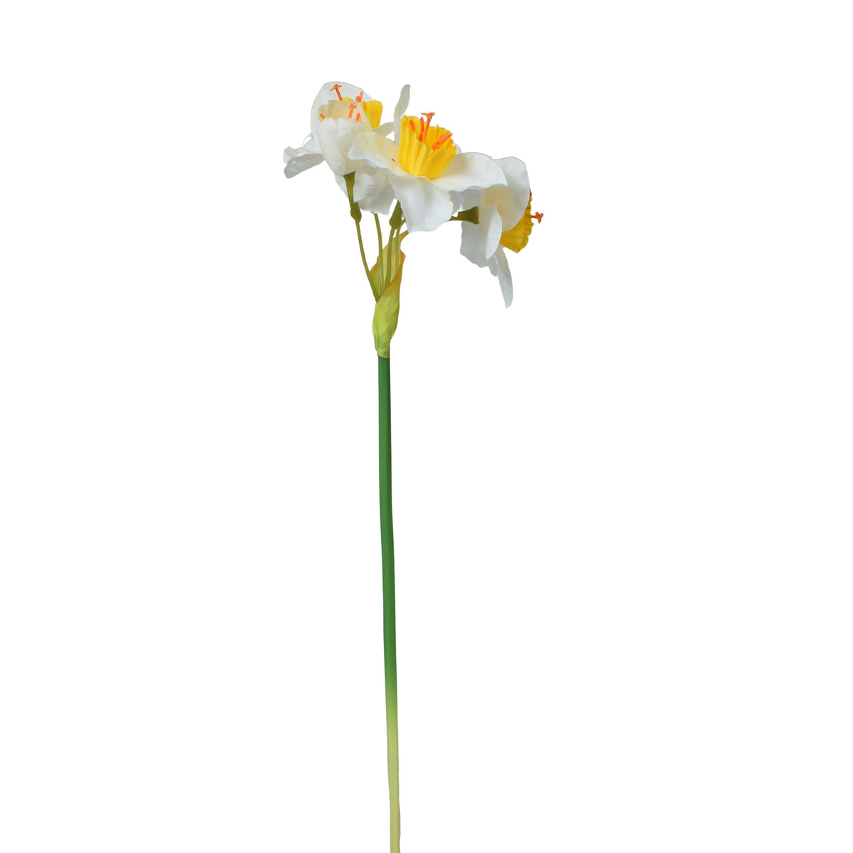 Tekonarsissin kukkavarsi, 44 cm