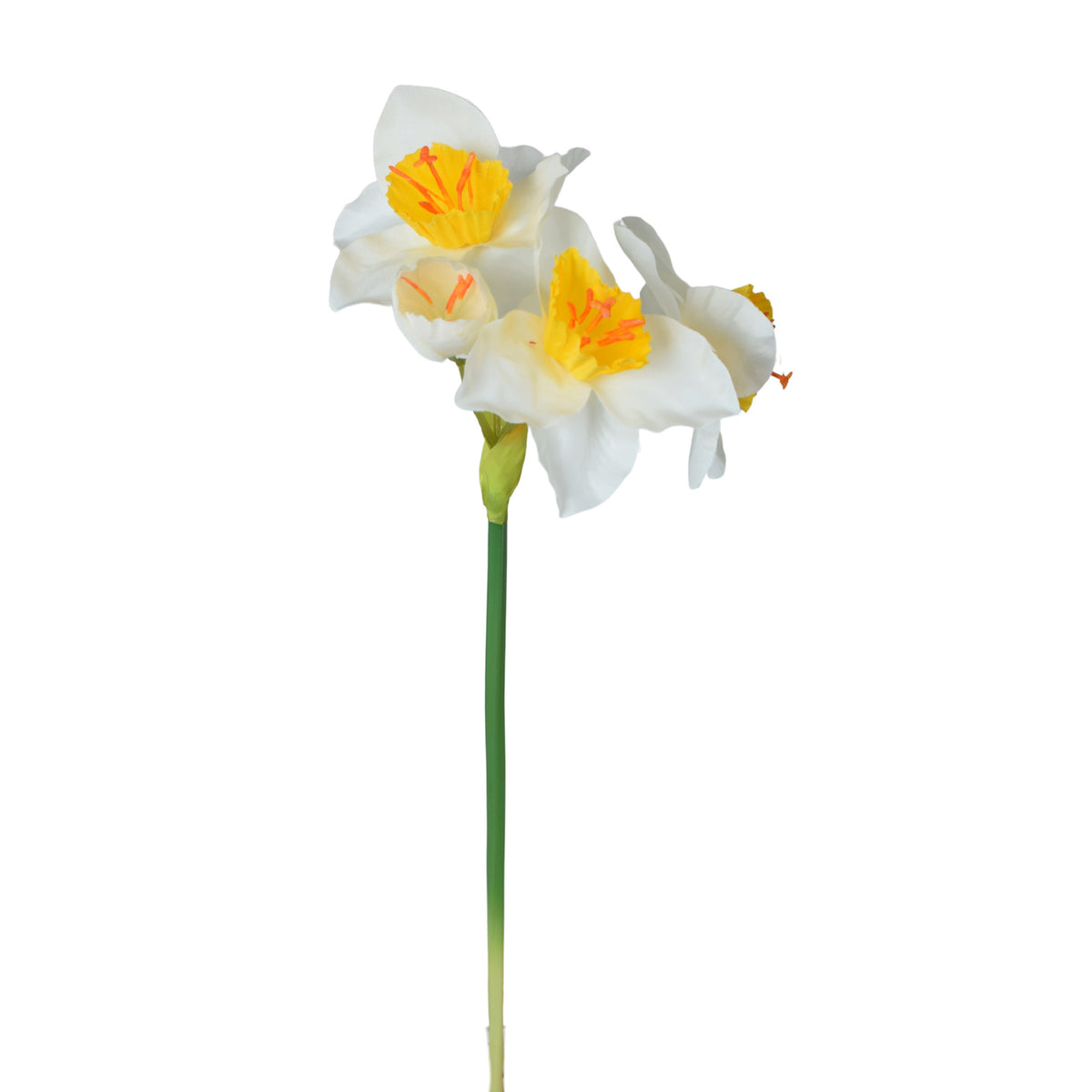 Tekonarsissin kukkavarsi, 44 cm