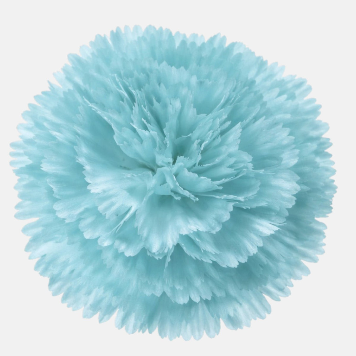 Tekoneilikan kukkapää, 9 cm