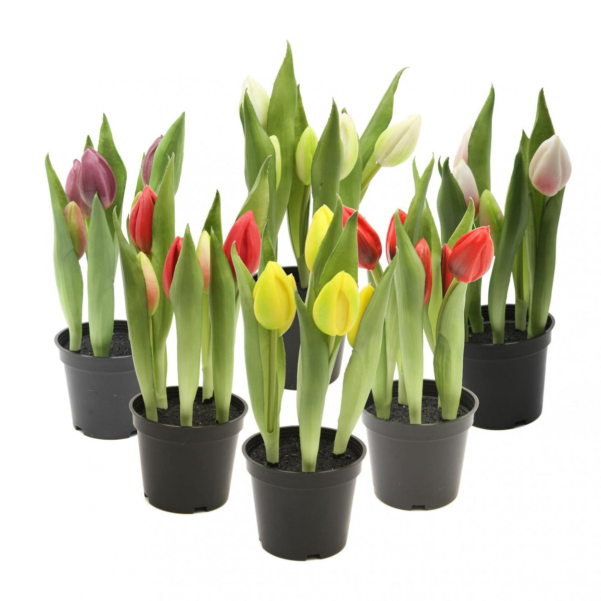 Tekotulppaanin kimppu, 25 cm