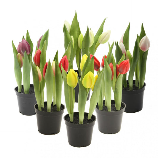 Tekotulppaanin kimppu, 25 cm