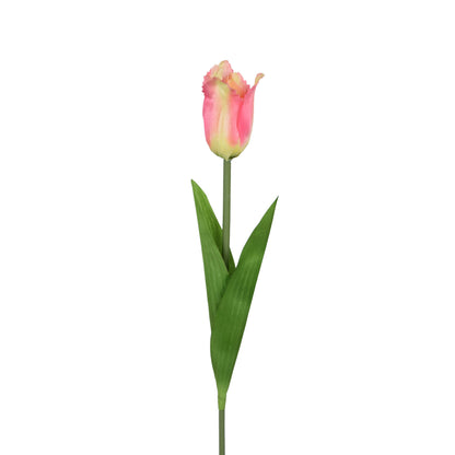 Tekotulppaanin kukkavarsi, 53 cm