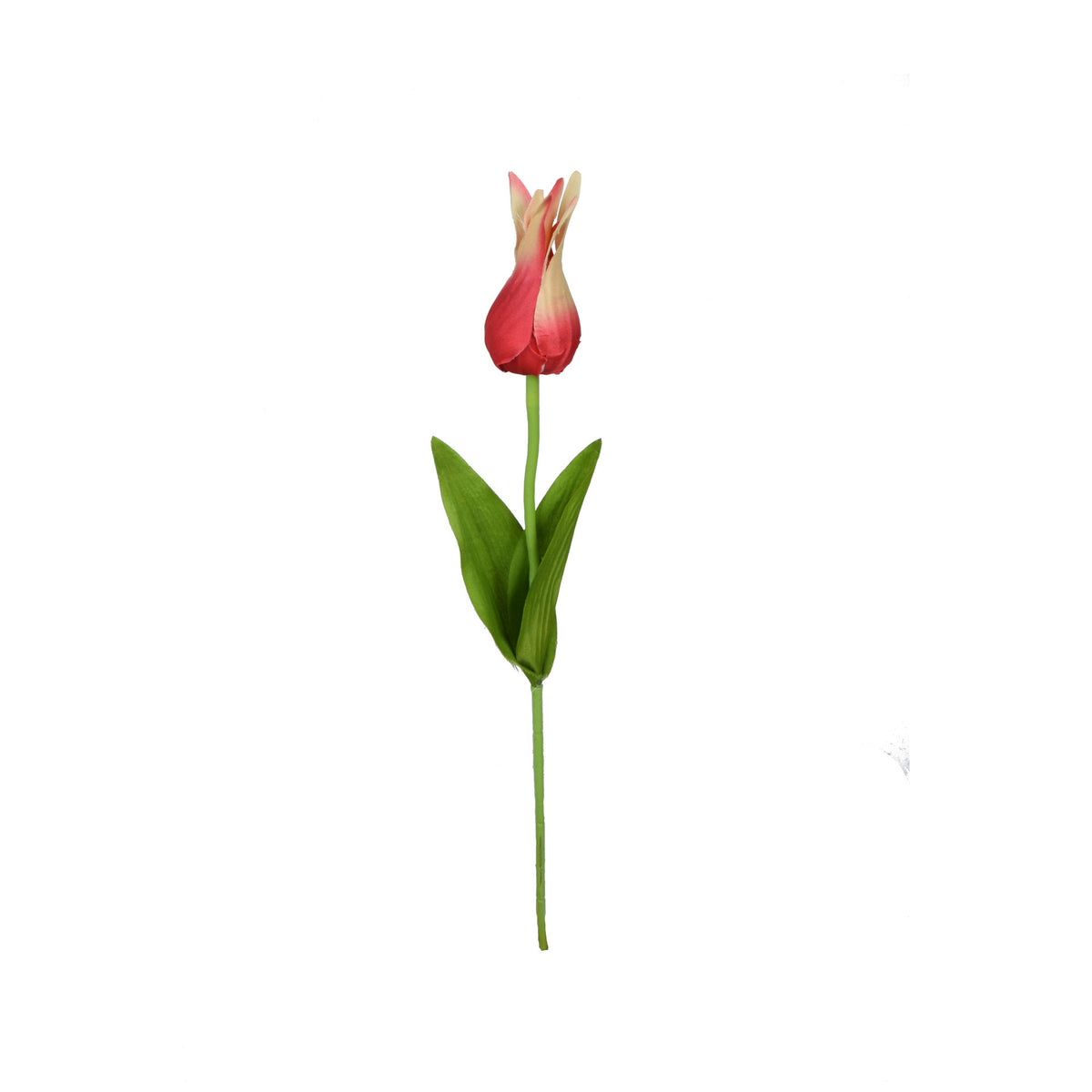 Tekotulppaanin kukkavarsi, 59 cm
