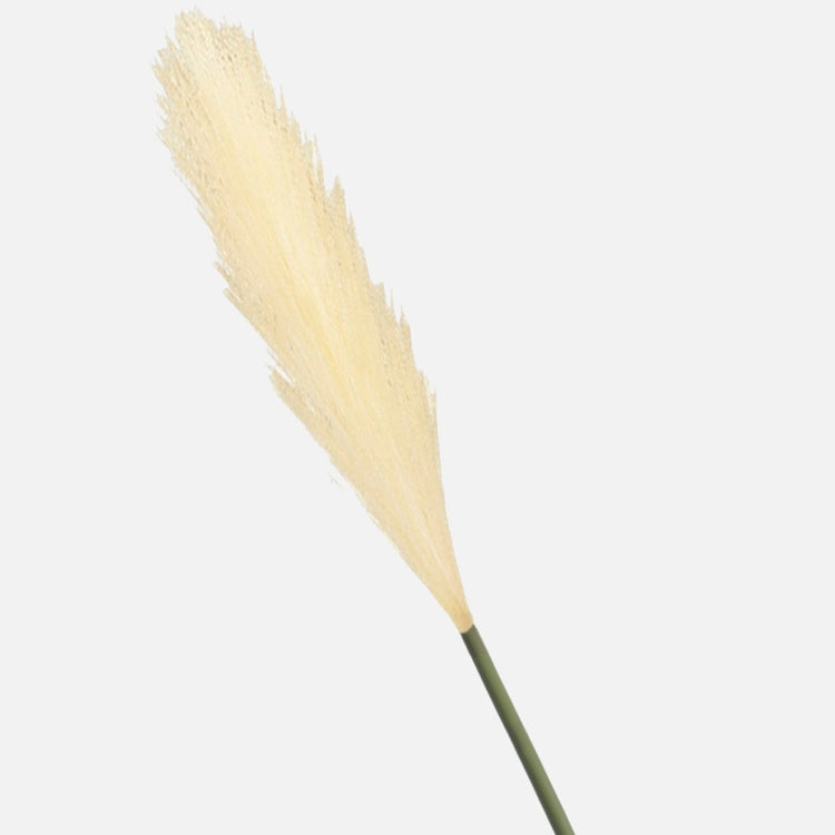 Pampan ruoho Keltainen - Tekokukat.fi