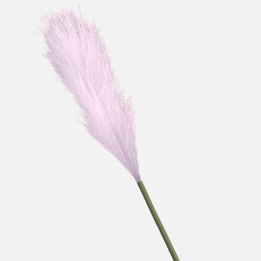 Pampan ruoho Vaaleanpunainen - Tekokukat.fi