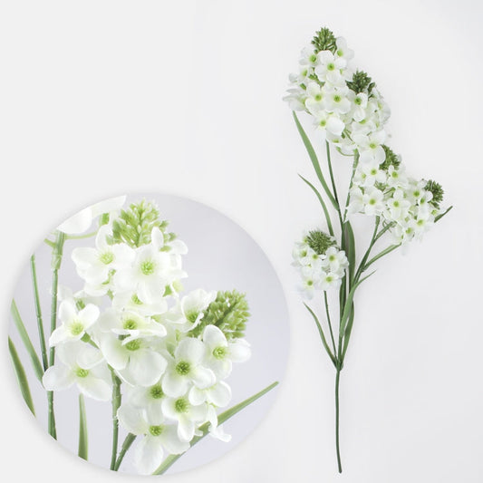 Tuberoosa tekokukka kerma - Tekokukat.fi