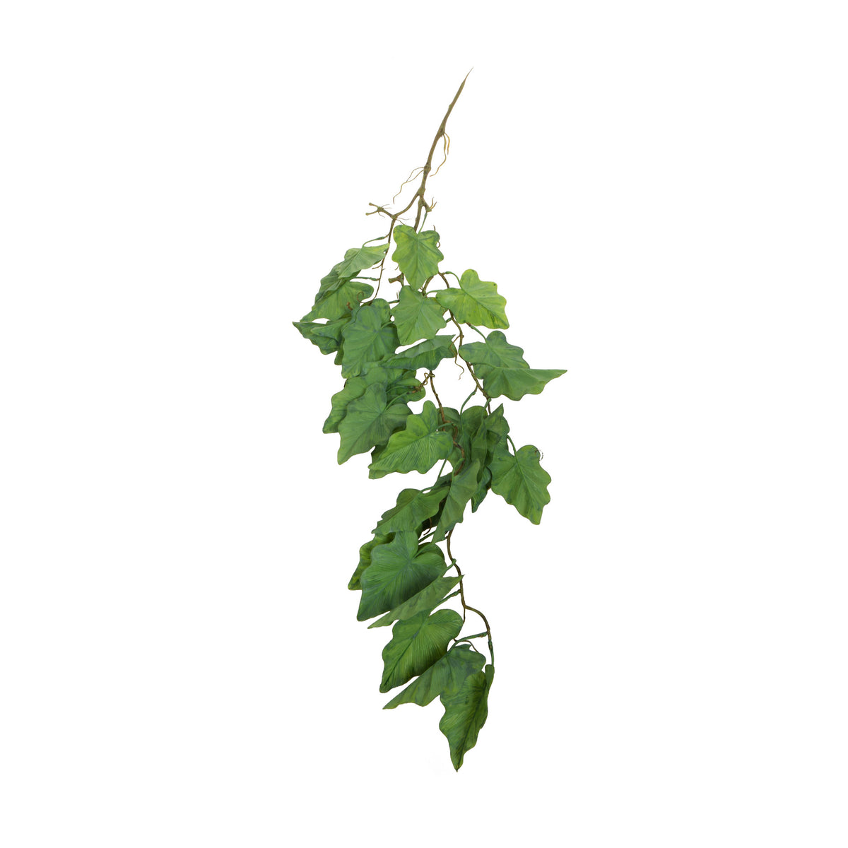 Tumma vihreä alokasia – tekoköynnös, 105 cm