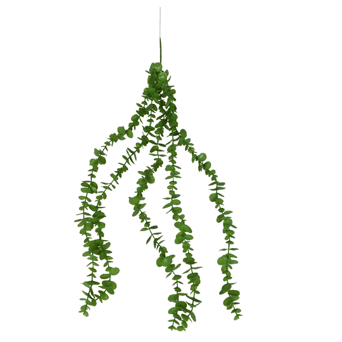 Tumma vihreä eukalyptus – tekoköynnös, 74 cm