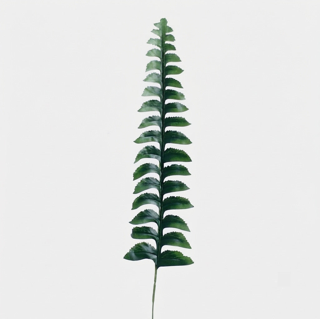 Tumma vihreä saniainen – tekolehti, 40 cm