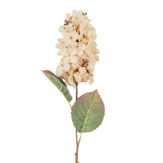 Vaalea beige tekohortensian kukkavarsi