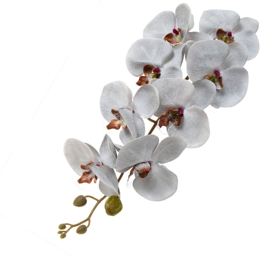 Vaalea harmaa tekoorkidean kukkavarsi, satiini, 92 cm