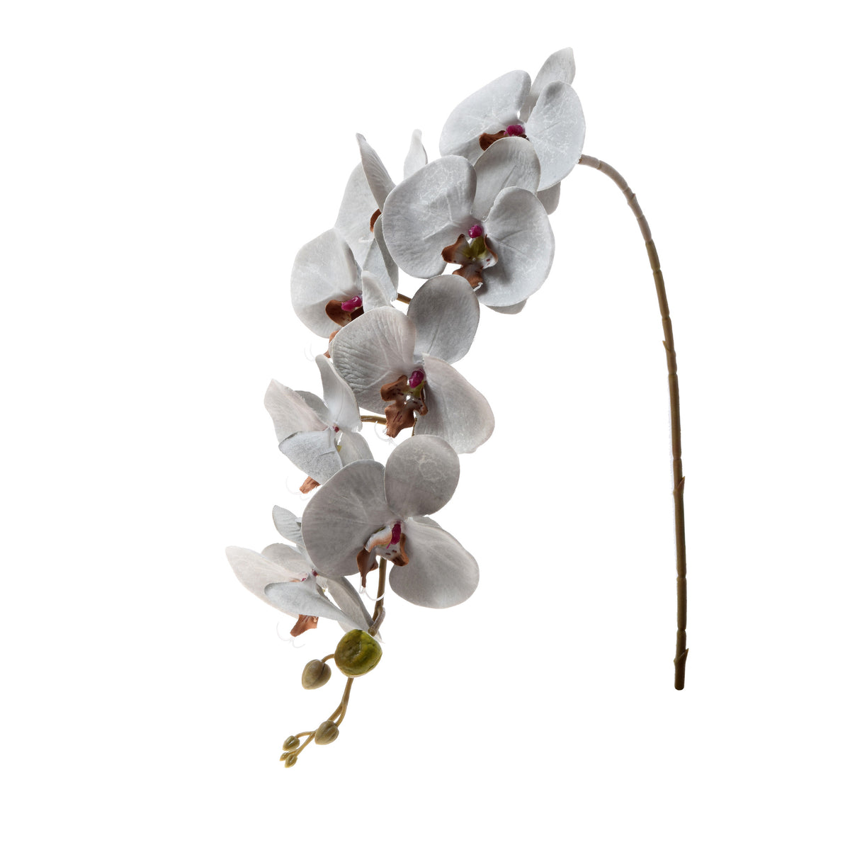 Vaalea harmaa tekoorkidean kukkavarsi, satiini, 92 cm