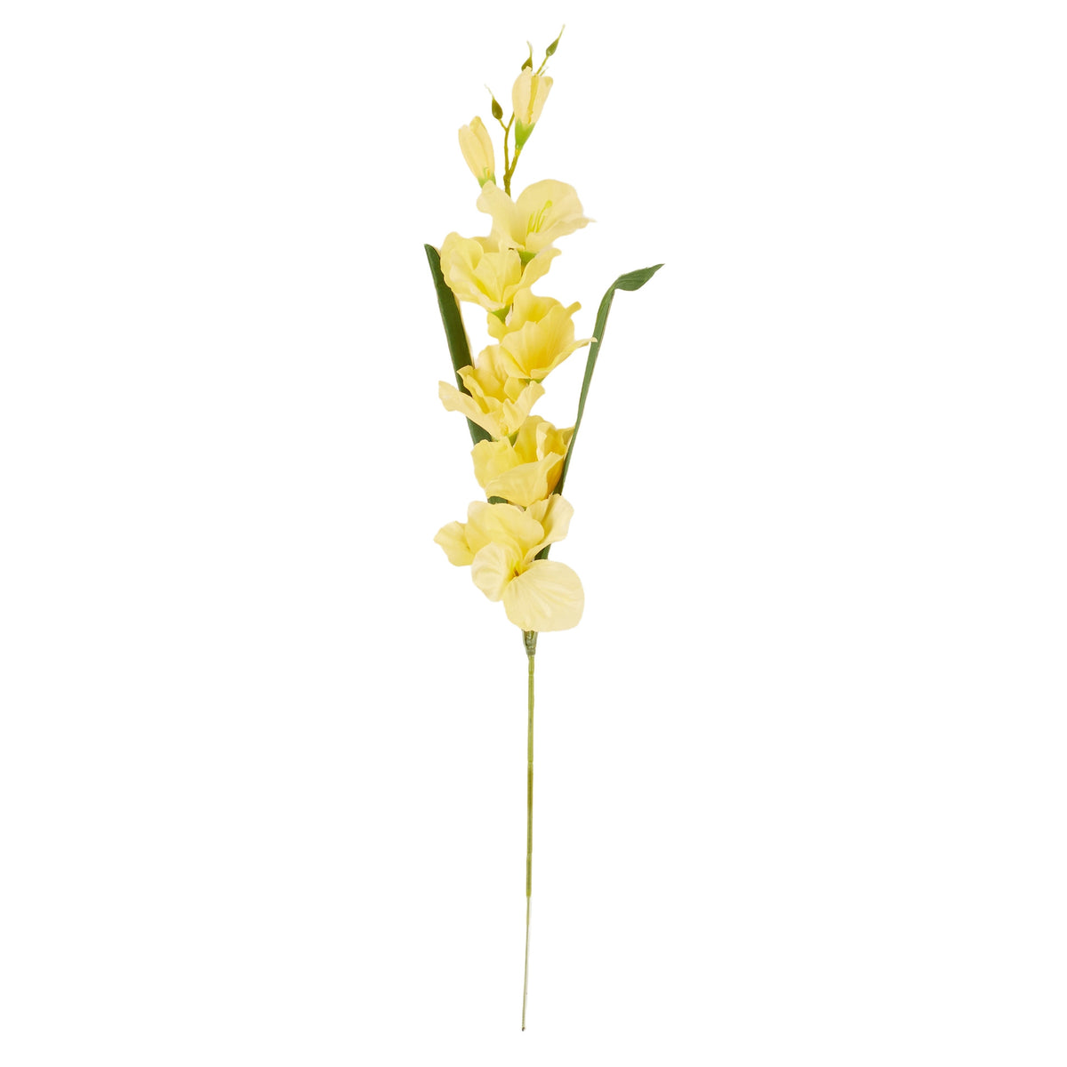 Vaalea keltainen gladiolus – tekokukka