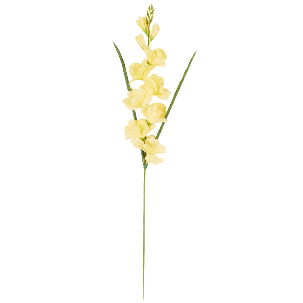 Vaalea keltainen gladiolus – tekokukka