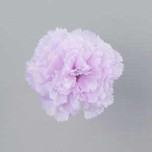 Vaalea Liila
