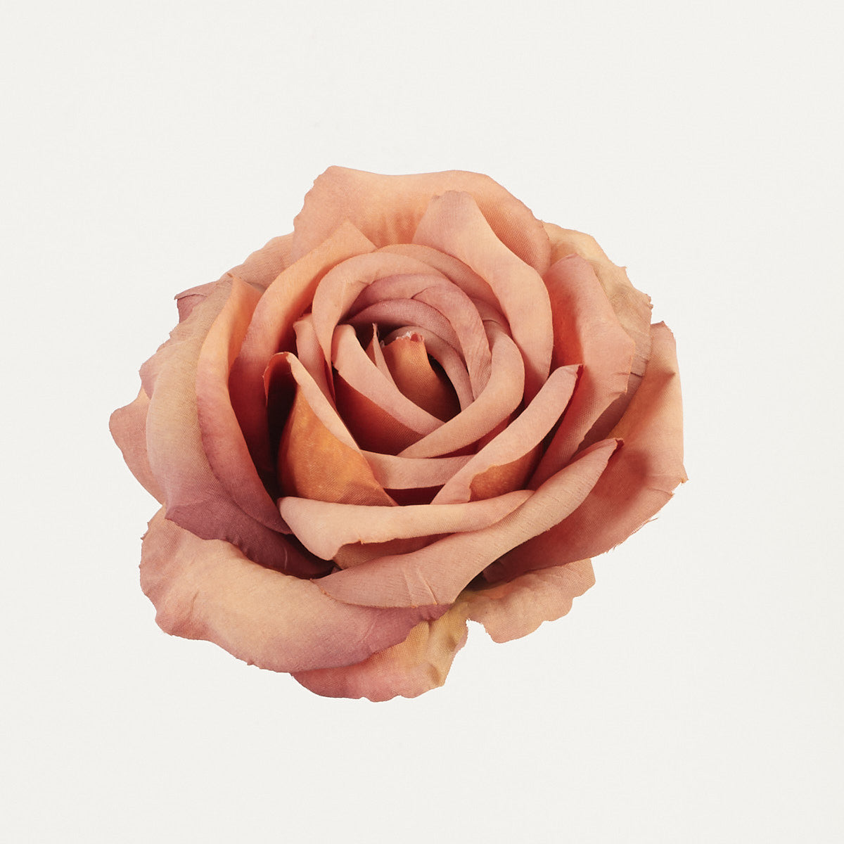 Vaalea/ruskea/vaalea/oranssi tekoruusun kukkapää, 7 cm