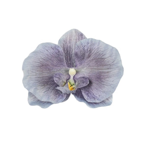 Vaalea/Sininen/Violetti