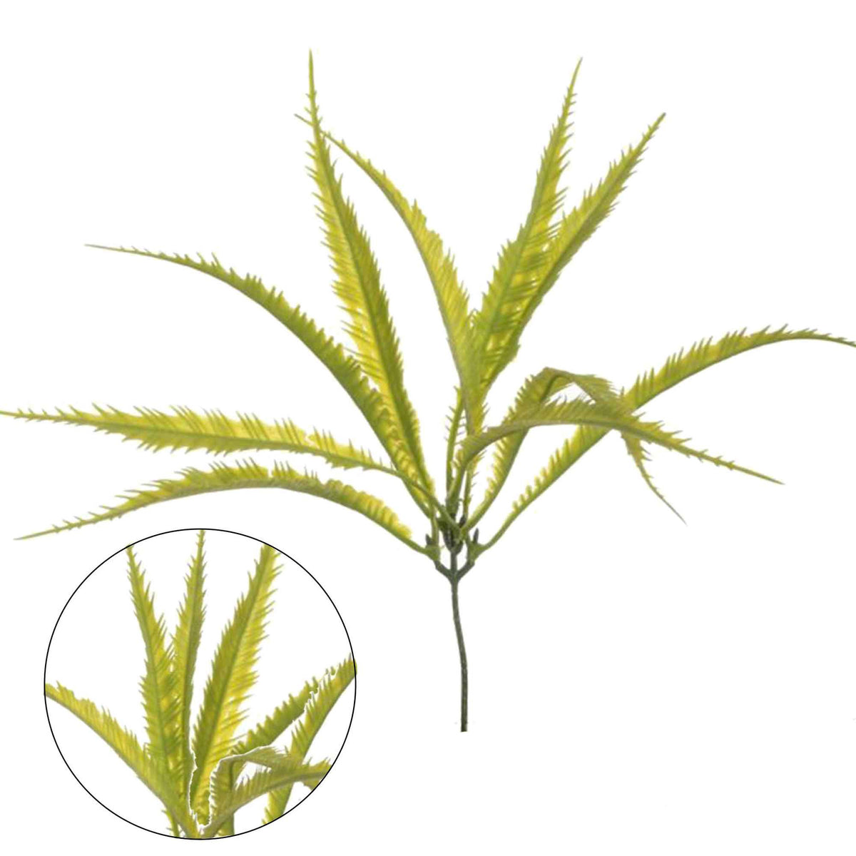Vaalea vihreä koristeoksa, 30 cm