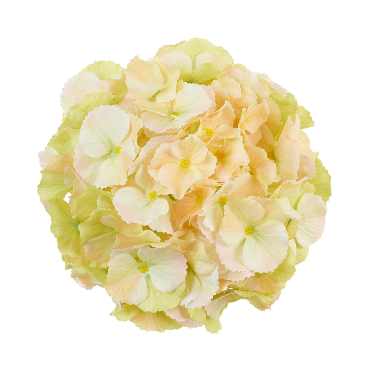 Vaalea/vihreä/vaalea/beige tekohortensian kukkapää, 21 cm