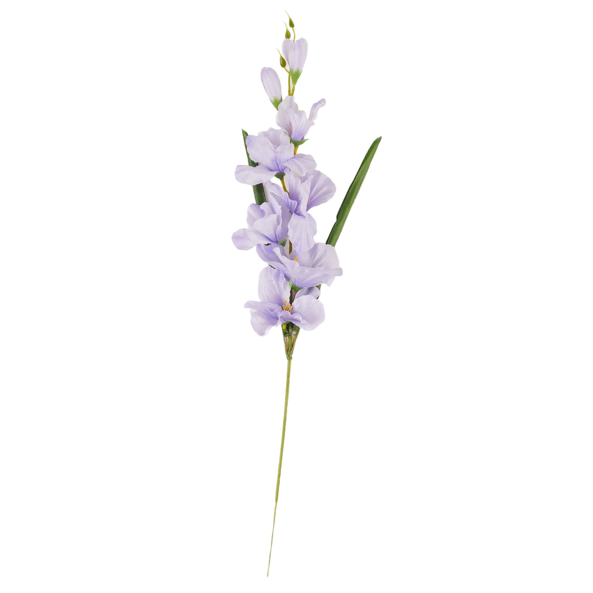 Vaalea violetti gladiolus – tekokukka