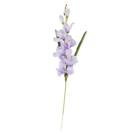 Vaalea violetti gladiolus – tekokukka