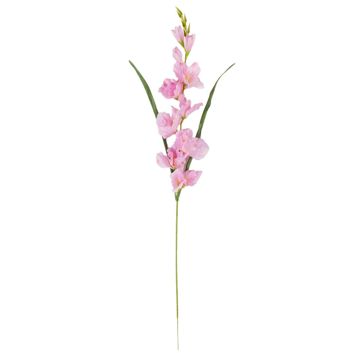 Vaalea violetti gladiolus – tekokukka