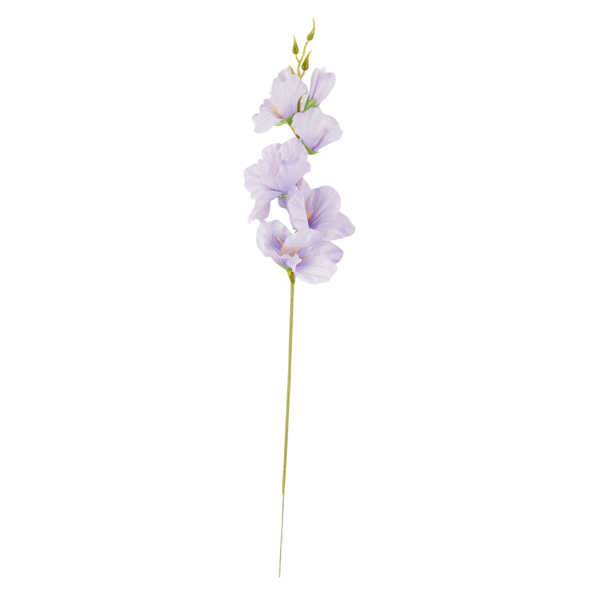 Vaalea violetti gladiolus – tekokukka