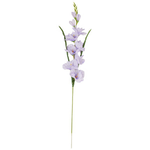 Vaalea Violetti