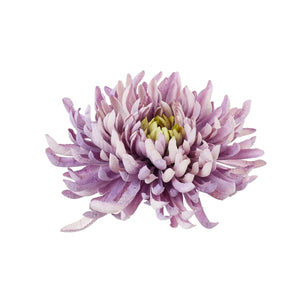Vaalea Violetti