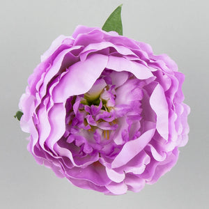 Vaalea Violetti