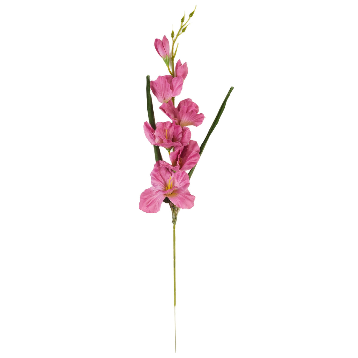 Vaaleanpunainen gladiolus – tekokukka