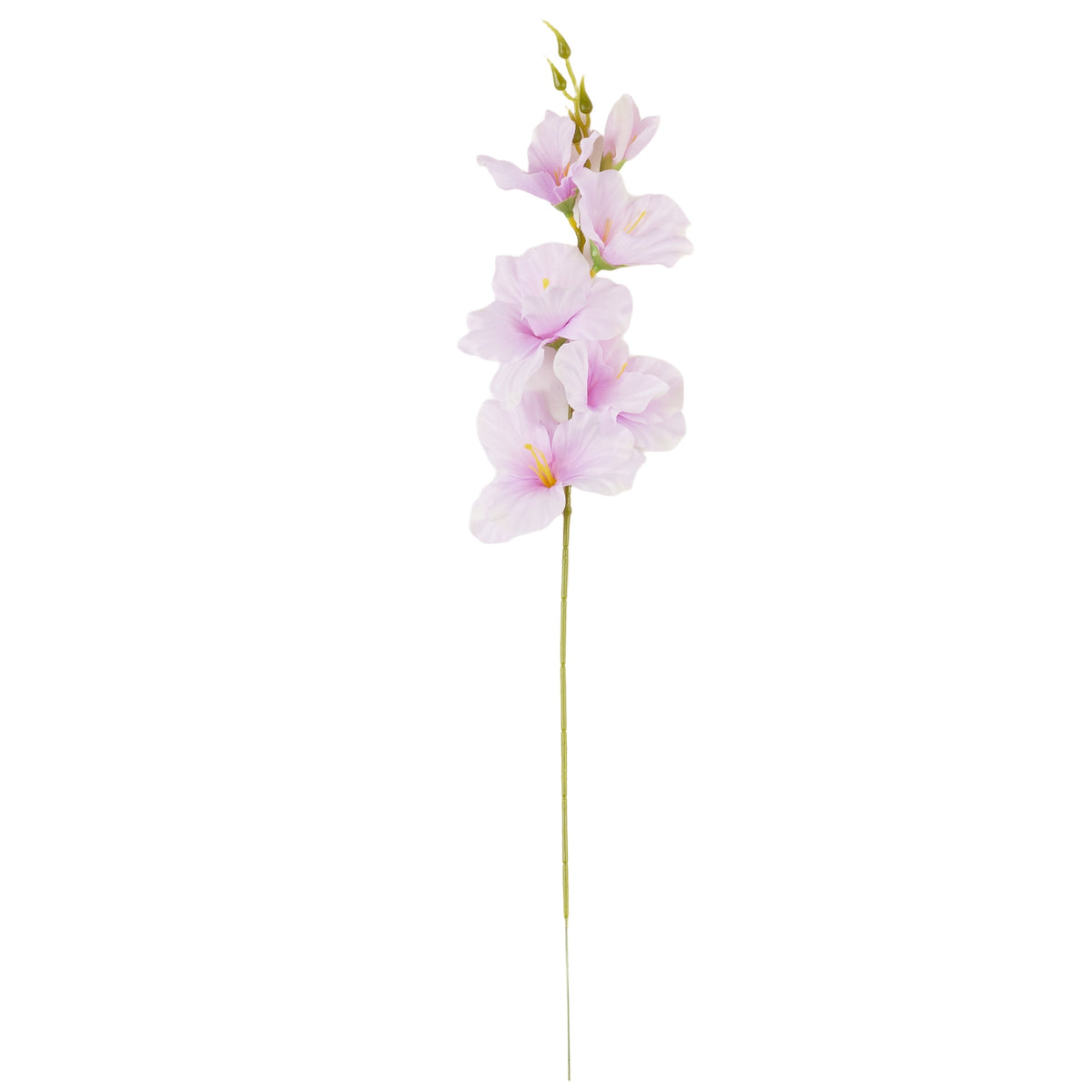 Vaaleanpunainen gladiolus – tekokukka