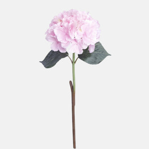 Vaalea Vaaleanpunainen