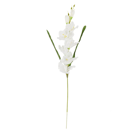 Valkoinen gladiolus – tekokukka