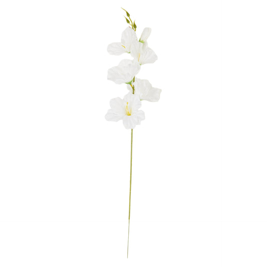 Valkoinen gladiolus – tekokukka
