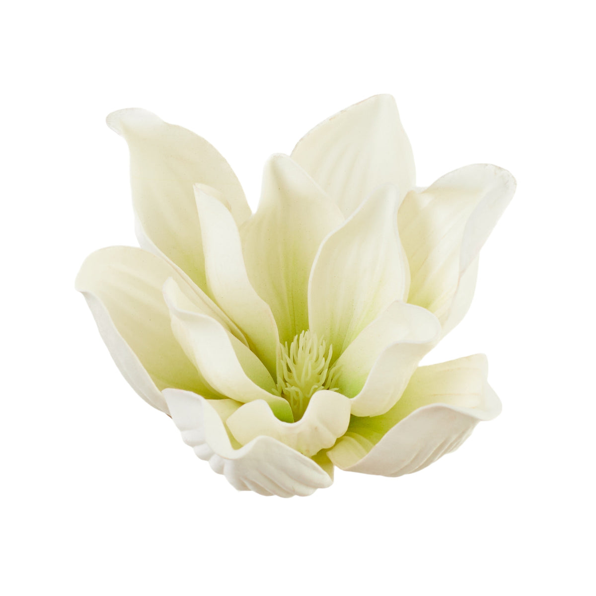 Valkoinen magnolia – tekokukkapää, 15 cm